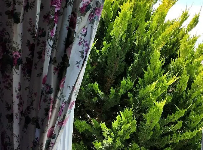 Maviev מלון Çeşme