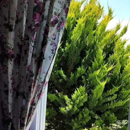 Maviev Ξενοδοχείο Çeşme