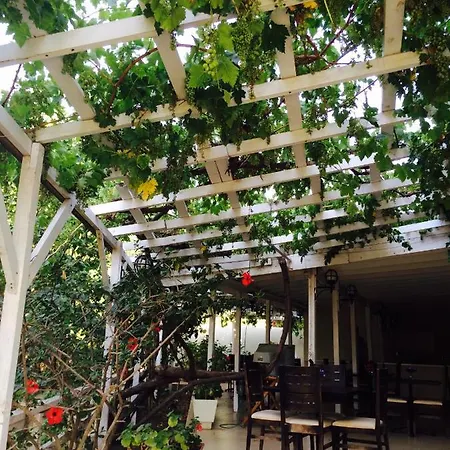 Maviev Hotel