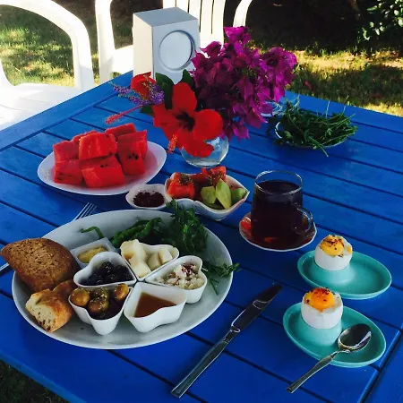Maviev 酒店 Çeşme