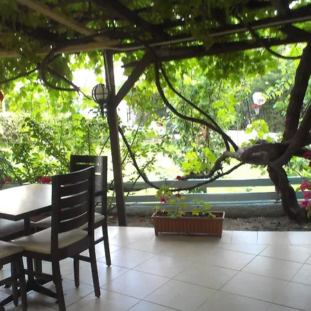 Hotel Maviev 3*